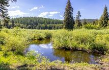 Nhn Fortine Creek Rd 22 Acres, Trego