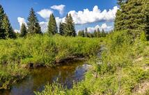 Nhn Fortine Creek Rd 22 Acres, Trego