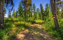 11315 Us Hwy 2 E Parcel C, West Glacier