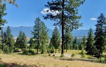 Nhn Hillandale Trail, Eureka