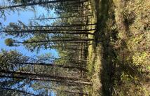 257 Bridger Road, Lakeside