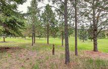 Nhn Blue Spruce Drive, Polson