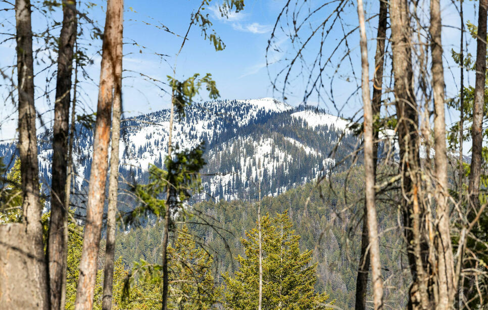 310 Rolling Ridge Drive, Kalispell