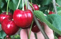 32624 Finley Point Road, Polson