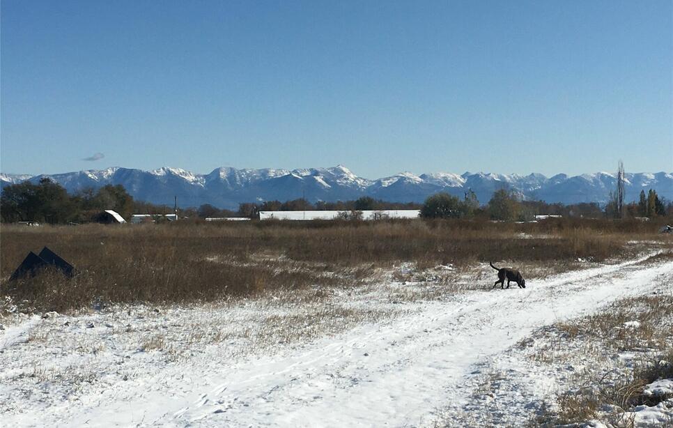 Nhn Us 93 S, Kalispell