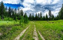 Nhn Morning Sky Drive, Trego