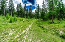 Nhn Morning Sky Drive, Trego