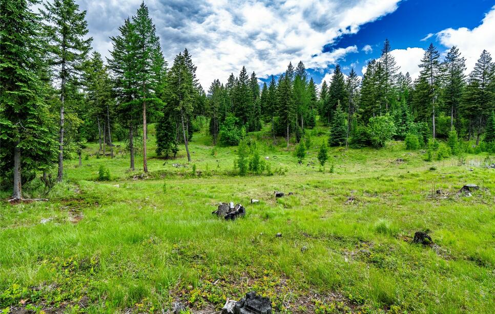 Nhn Morning Sky Drive, Trego