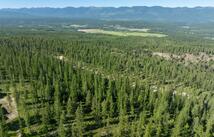 220 Chinook Lake Lane Lot 20, Whitefish
