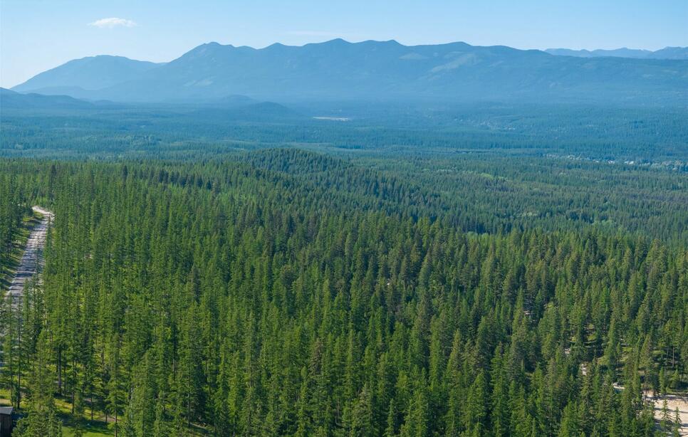 220 Chinook Lake Lane Lot 20, Whitefish