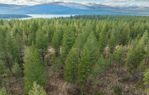 Lot 56 Dropping Draw North Star Landing, Eureka