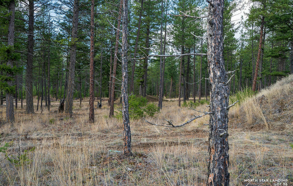 Lot 56 Dropping Draw North Star Landing, Eureka