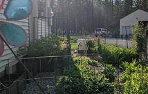 35 Snowy Lane, Plains