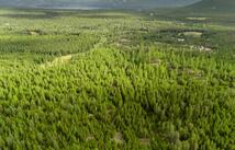 680 Lower Lost Prairie Road, Marion