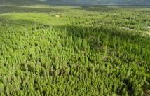 680 Lower Lost Prairie Road, Marion