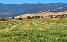 Tract 1b Of Cos 3917 Ekblad Road, Hot Springs