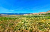 Tract 1b Of Cos 3917 Ekblad Road, Hot Springs