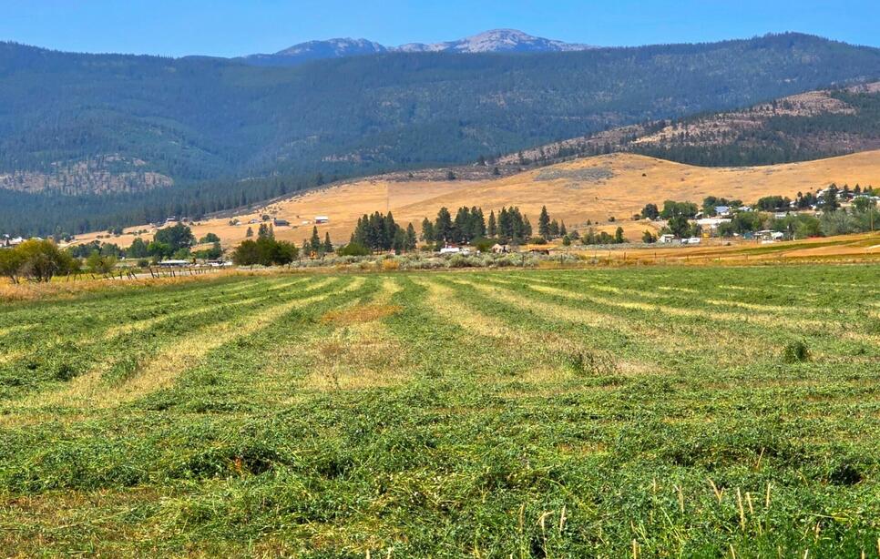 Tract 1b Of Cos 3917 Ekblad Road, Hot Springs