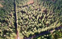 Nhn S Finley Point Road, Polson