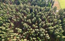 Nhn S Finley Point Road, Polson