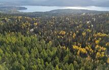 201 Woodlandstar Circle, Whitefish