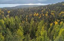 201 Woodlandstar Circle, Whitefish