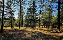 752 Tripp Trail, Eureka