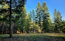 752 Tripp Trail, Eureka