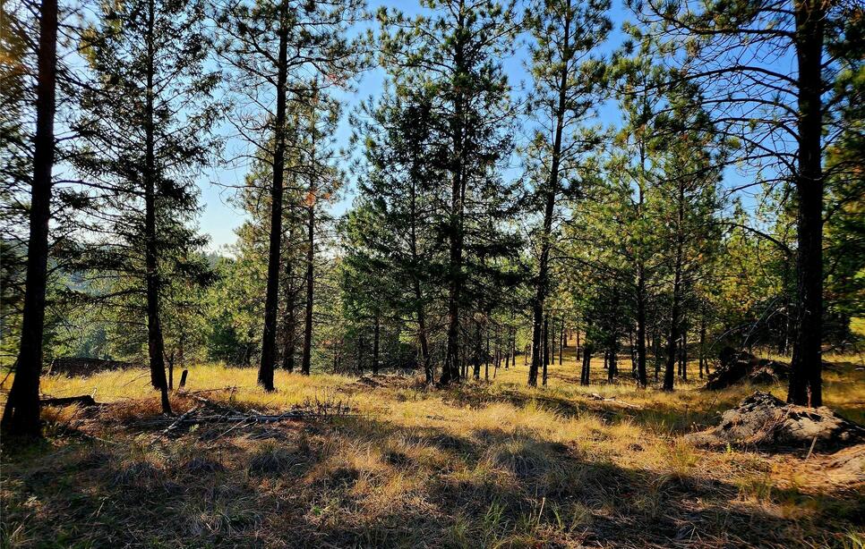 752 Tripp Trail, Eureka