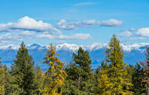 1395 Deer Creek Haven, Lakeside