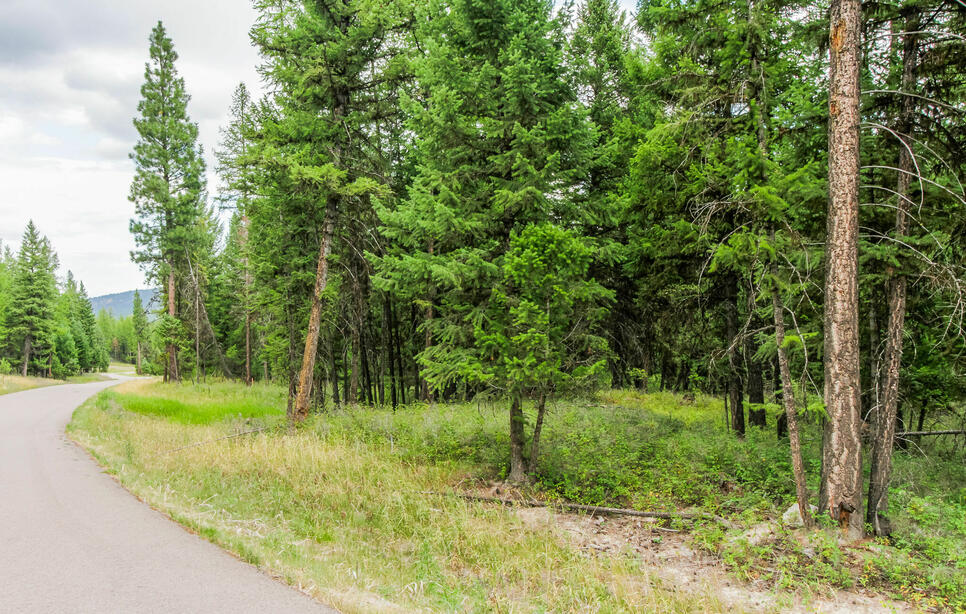 250 Haskill Ranch Road, Kila