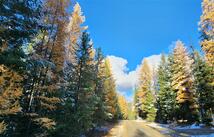 Lot 8 Tamarack Lane, Rexford