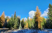 Lot 8 Tamarack Lane, Rexford