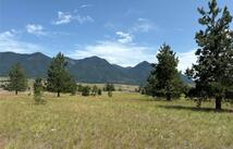 127 Velvet Grove, Eureka