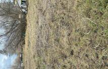 Nhn 11th Street W, Kalispell