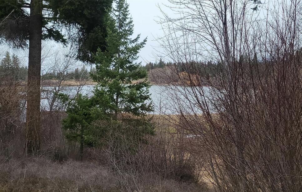 38244 Turtle Lake Loop, Polson