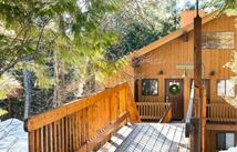 65 Limber Pine, Whitefish