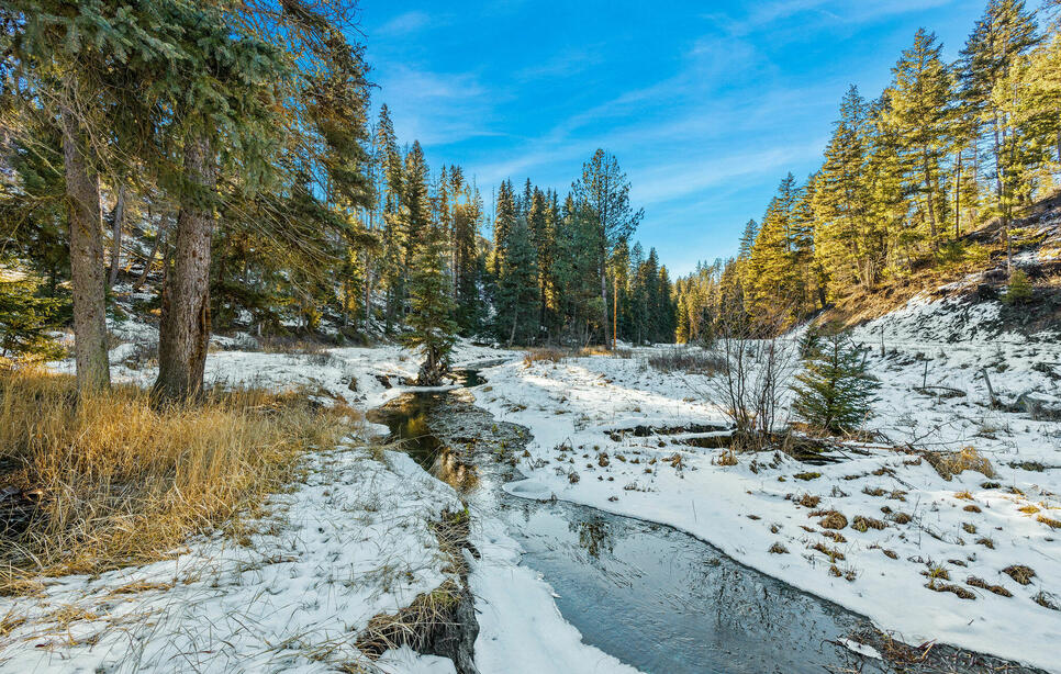 Dayton Creek Road, Proctor