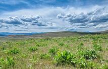 7800 Browns Meadow Road, Niarada