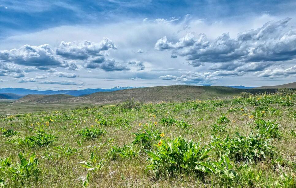 7800 Browns Meadow Road, Niarada