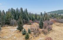 Nhn Tobacco Road, Eureka