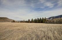 31365 Walking Horse Lane Trac 3, Big Arm