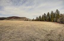 31365 Walking Horse Lane Trac 3, Big Arm