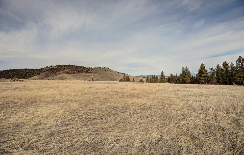 31365 Walking Horse Lane Trac 3, Big Arm