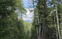 2096 Marl Lake Creek Road, Eureka