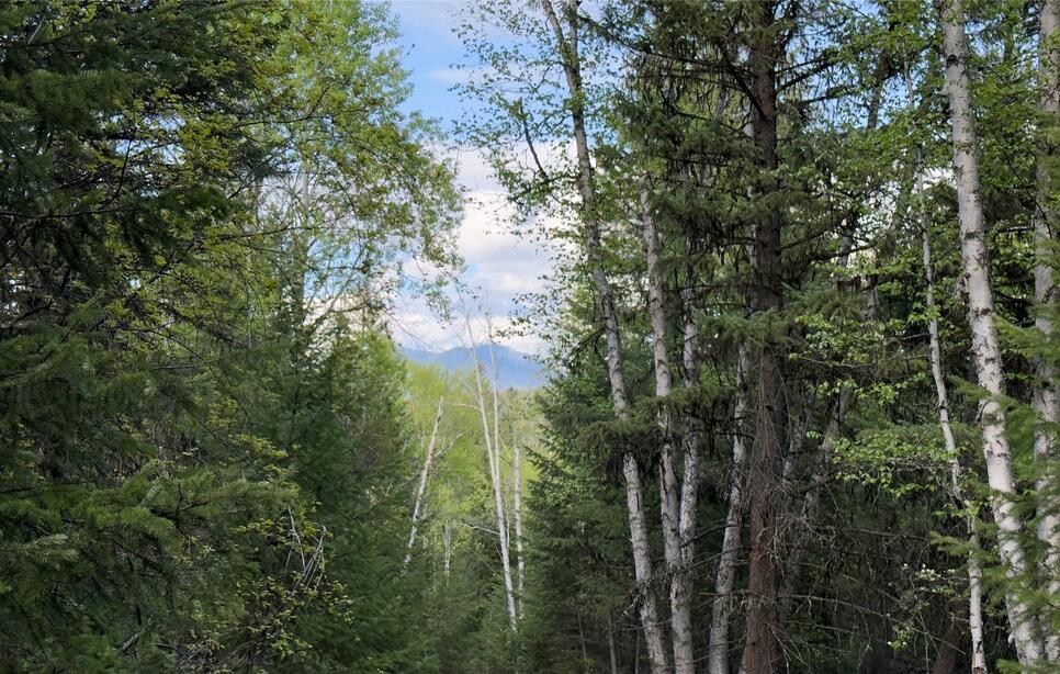 2096 Marl Lake Creek Road, Eureka