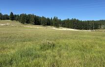 691 Morning View Drive, Kalispell