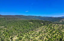 386 Racheals Meadow Lane, Kila