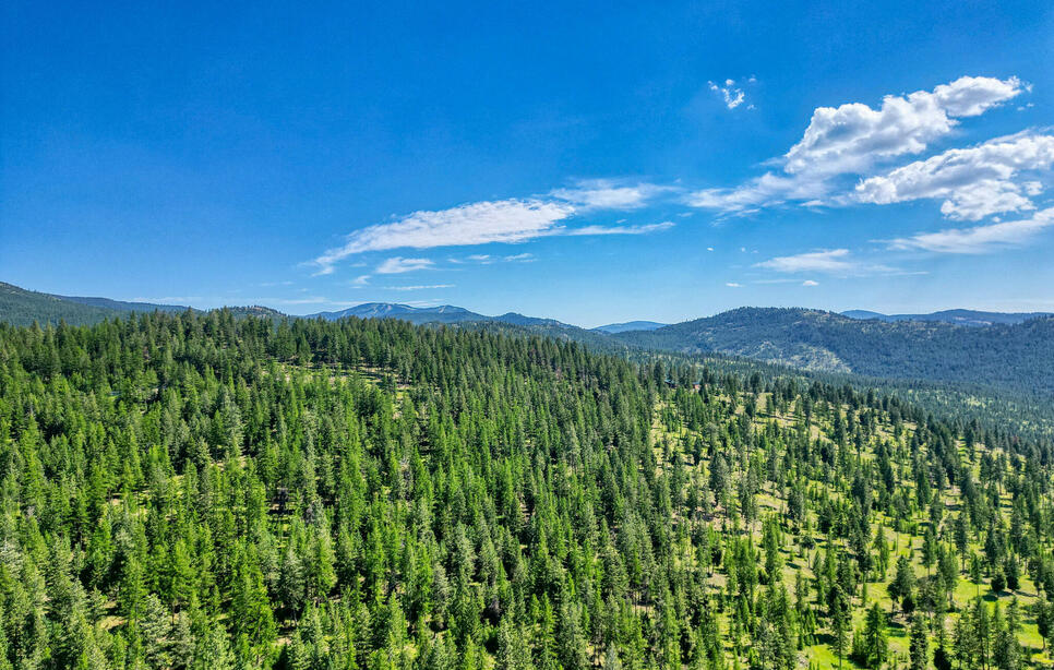 386 Racheals Meadow Lane, Kila