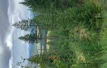 Tr 11 Whitetail Ridge, Kila